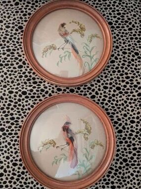 Original Vintage Real Bird Feathers Paintings with bubble Glass!